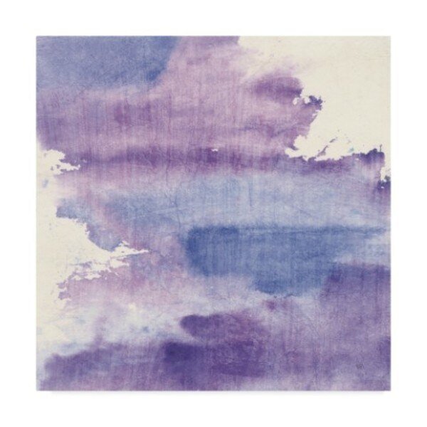 Chris Paschke 'Purple Haze I' Canvas Art, 24x24, Trademark Fine Art, Mfr#: WAP04140-C2424GG